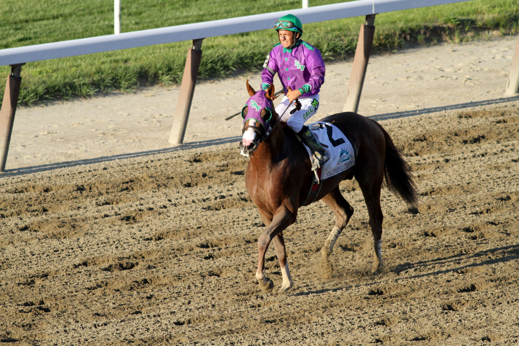 2014: California Chrome fails in his bid to win Triple Crown, losing at Belmont
